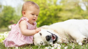 Beneficios de tener mascotas en casa para bebés y niños