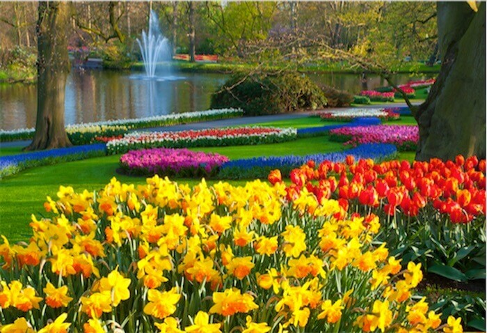 Keukenhof parque tulipanes Holanda