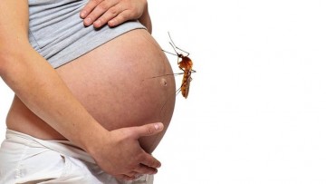 Las embarazadas atraen más a los mosquitos