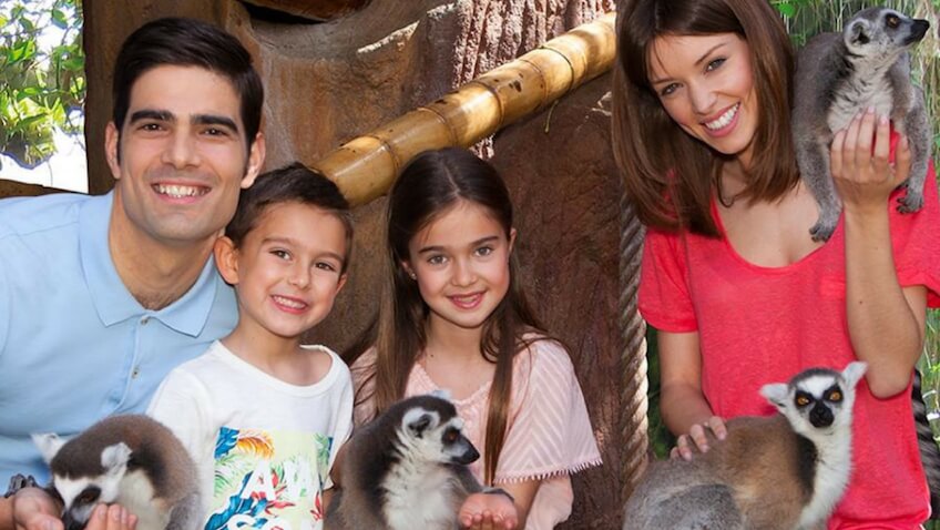 Mundomar Benidorm parque de animales para visitar con niños
