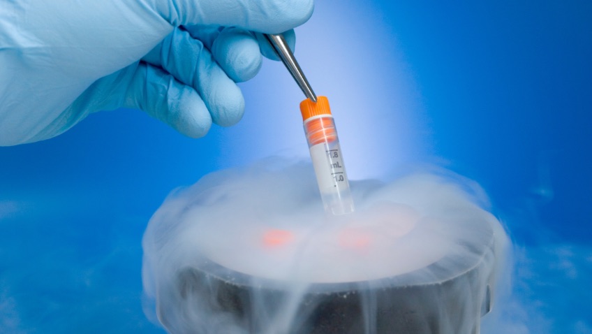 Congelar óvulos todo lo que debes saber sobre este procedimiento
